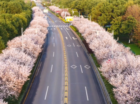 盤點(diǎn)“一帶一路”上的鹿山元素